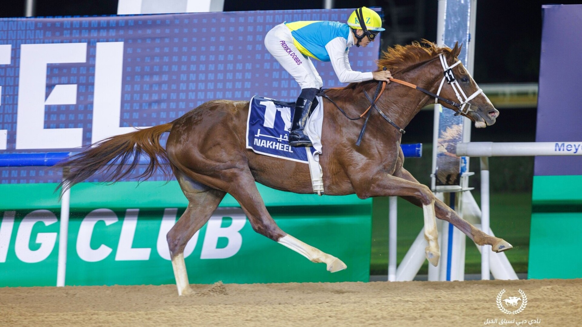 Казахський народ дбайливо зберігає вікову любов до коней